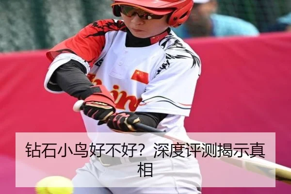 钻石小鸟好不好？深度评测揭示真相