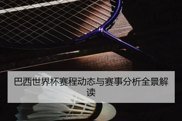 巴西世界杯赛程动态与赛事分析全景解读