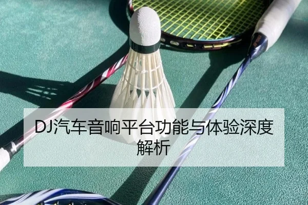 DJ汽车音响平台功能与体验深度解析